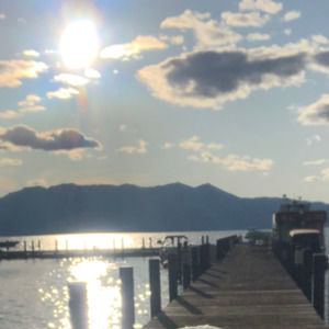 Meet your Posher, Betsy